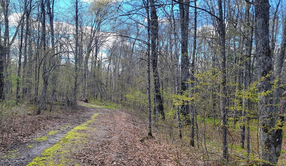 3598N Old J Road, Winter WI 54896 - Residential house for sale - MLS #1601670 - image25