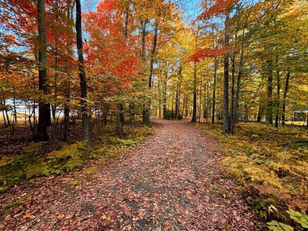1011 5th Street, Ladysmith WI 54848 - Land house for sale - MLS #1598875 - image6