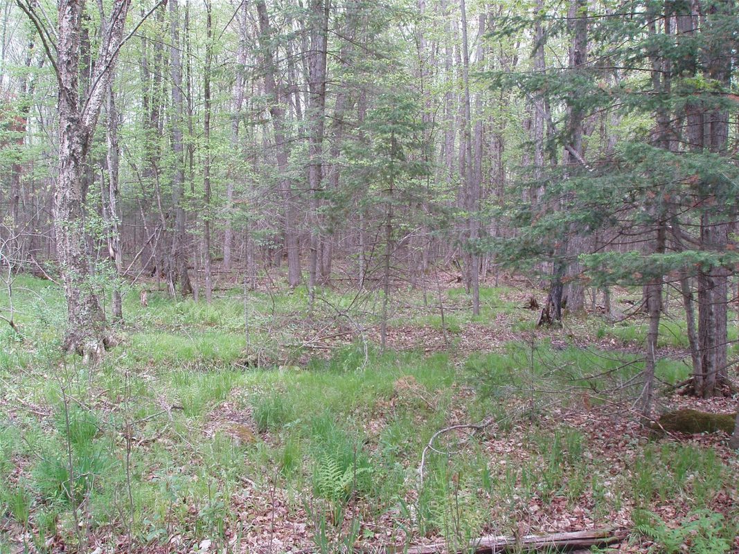 W9002 Moonshine Alley, Catawba WI 54514 - Residential house for sale - MLS #1601811 - image33
