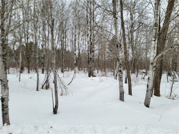 6828N Zett Road, Winter, WI