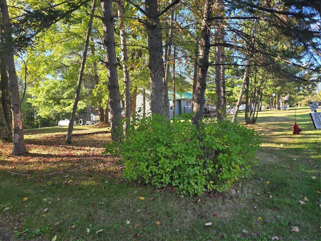 3547 Ogden Road, Radisson WI 54867 - Residential house for sale - MLS #1605163 - image7