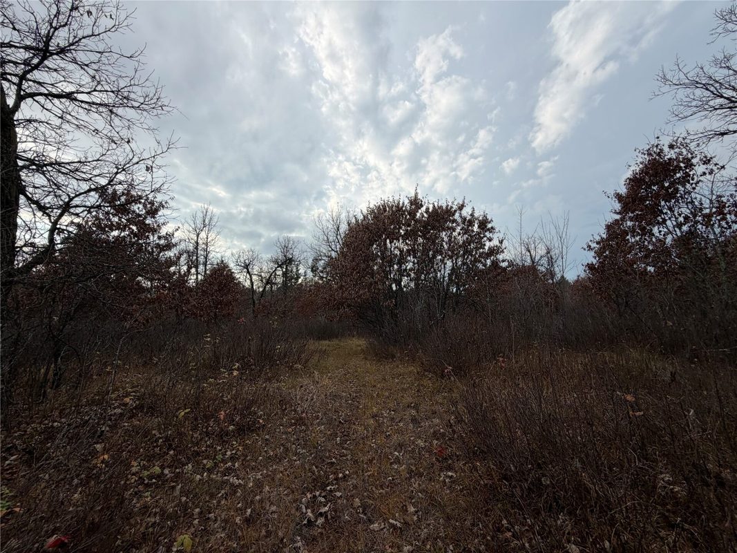 0000 280th Avenue, Sterling WI 54024 - Land house for sale - MLS #1606357 - image7