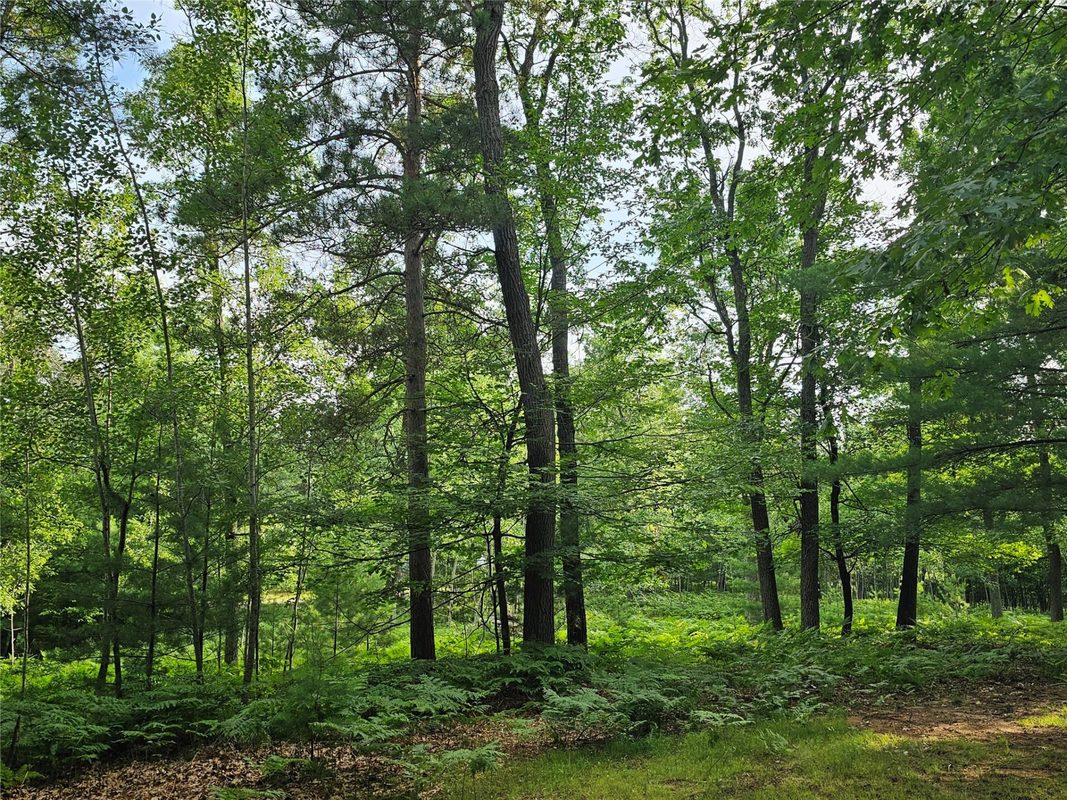 29110 Treasure Island Trail Way, Danbury WI 54830 - Residential house for sale - MLS #1603126 - image8