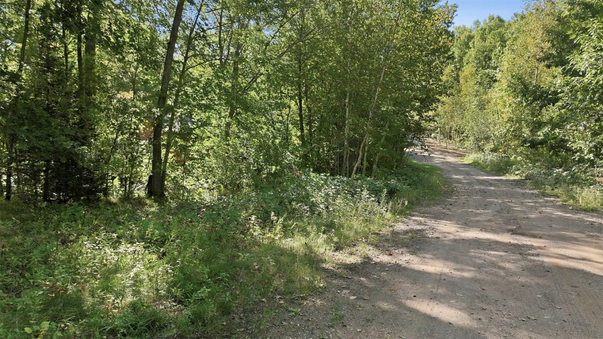 Lot 2 Sugar Bay Road, Chetek WI 54728 - Land house for sale - MLS #1605220 - image16