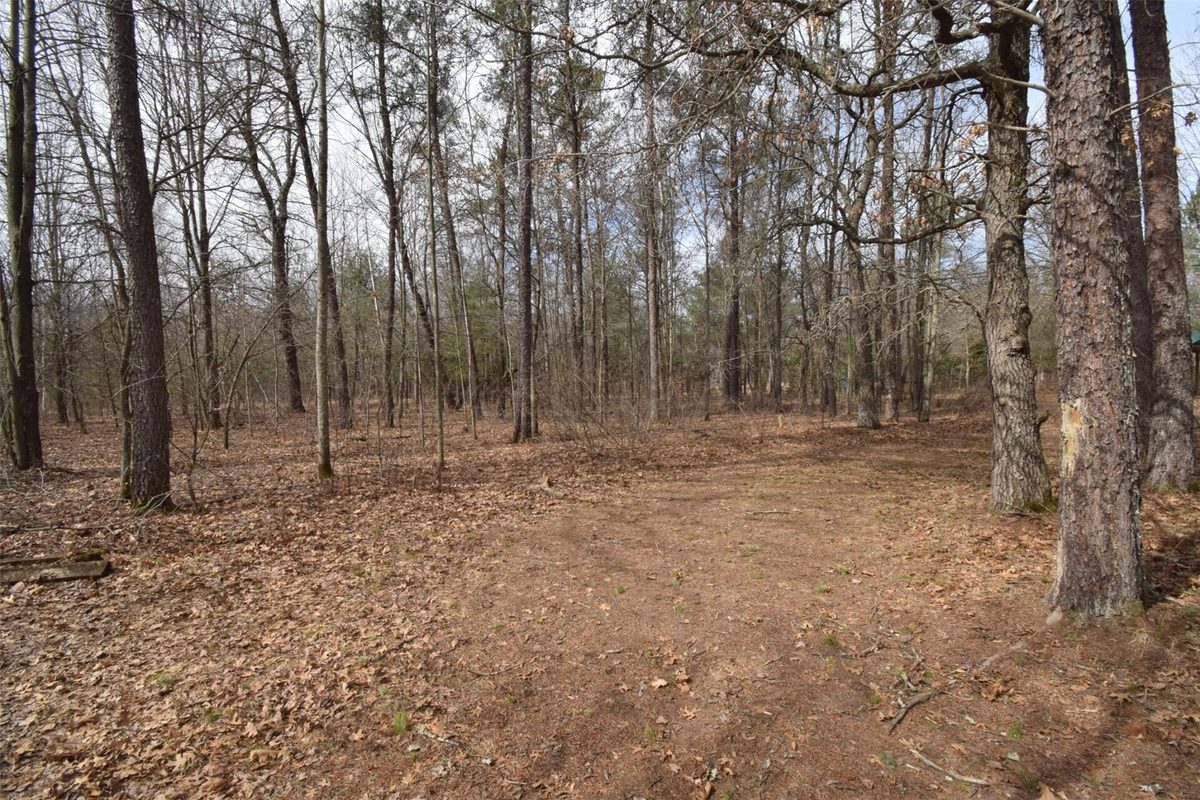 9274 Black Brook Road Webster WI 54893 — photo 29