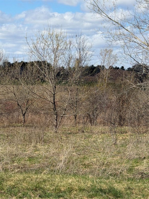 Residential at Lot 14 54th Avenue, Chippewa Falls, WI 54729 — photo 4
