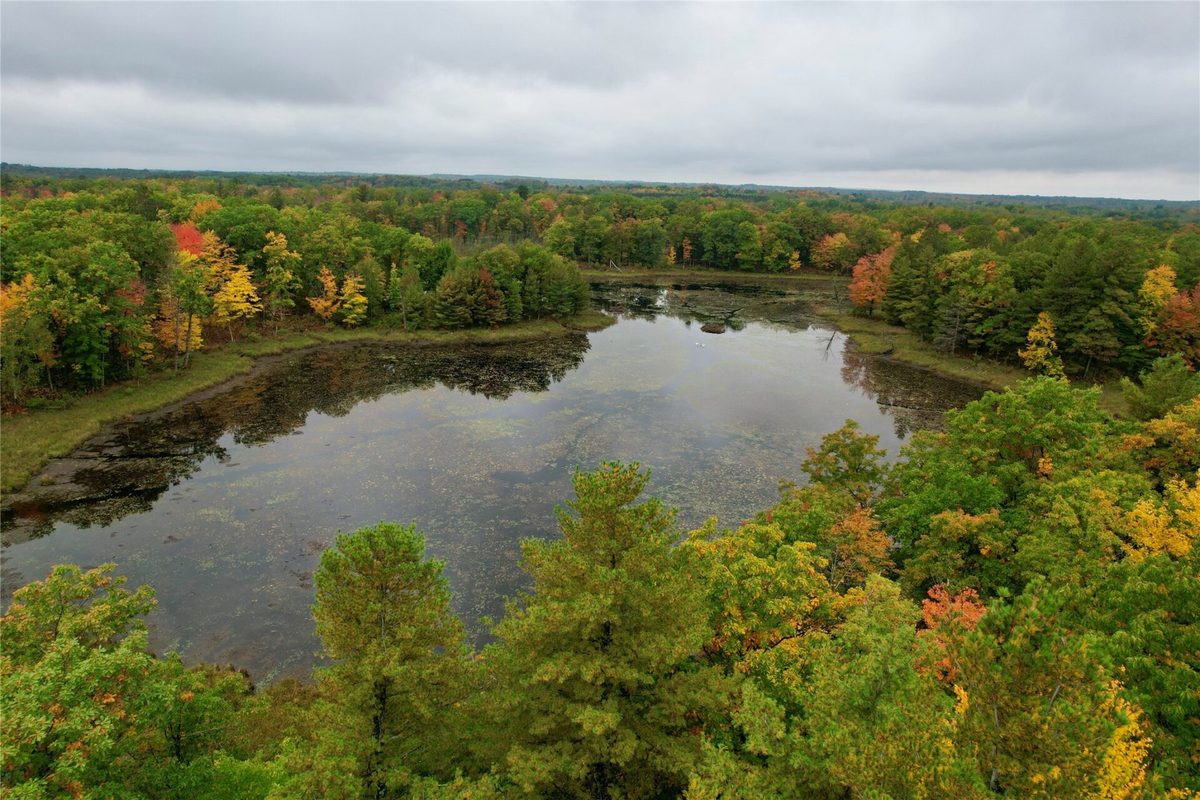 00 10 1/2-28 1/2, Barronett WI 54813 - Land house for sale - MLS #1604830 - image18