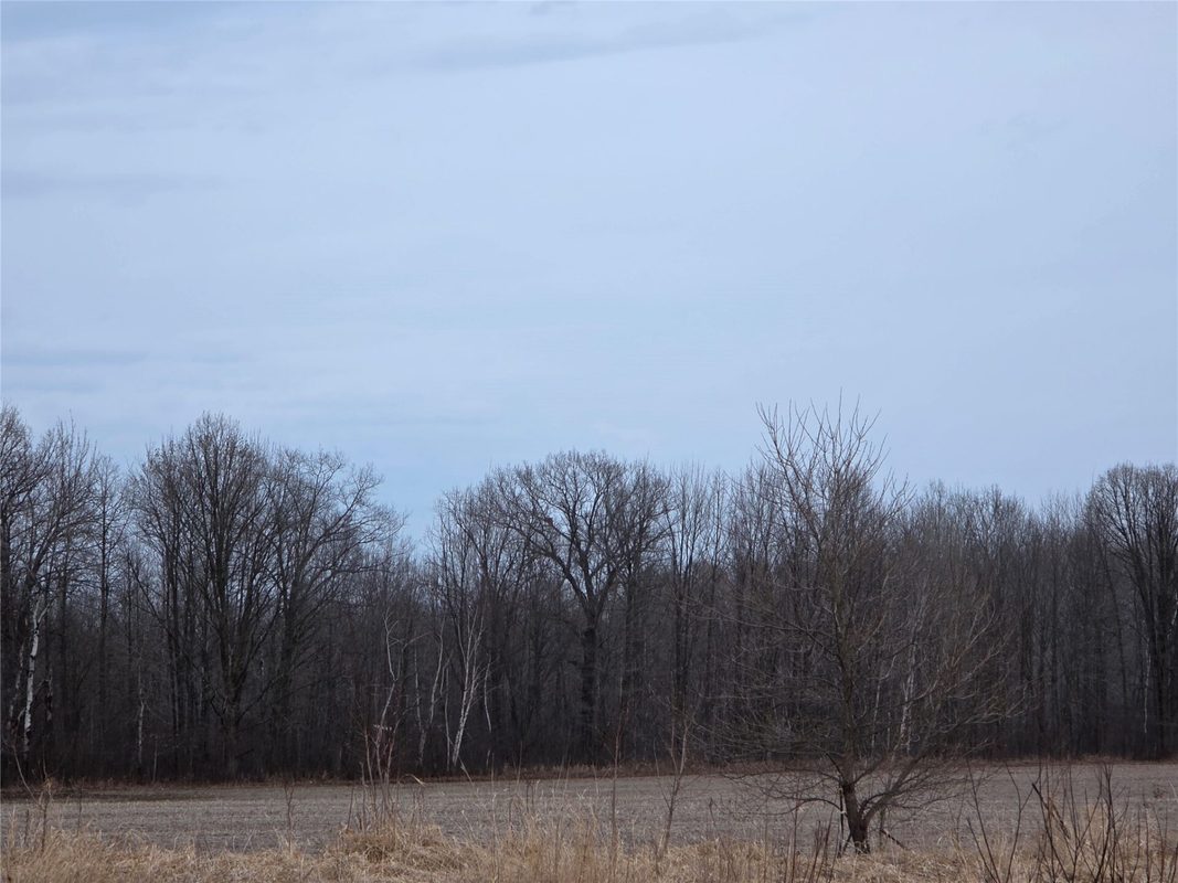 1563 N Helena Drive Holcombe WI 54731 — photo 28
