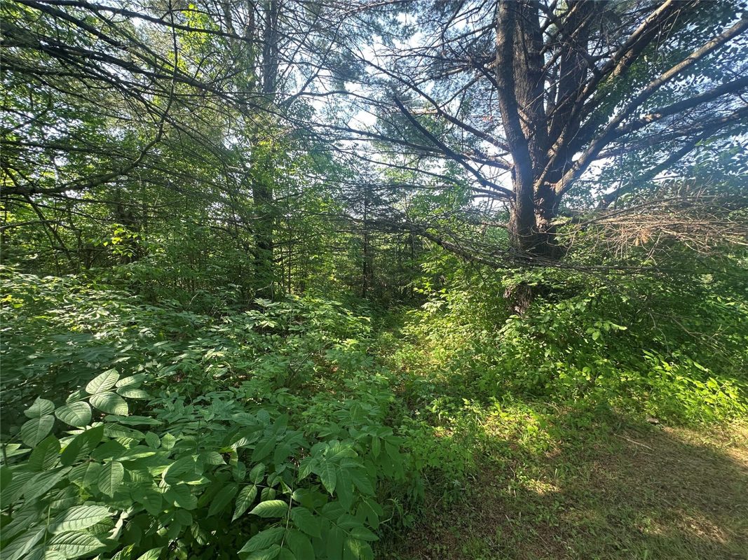6901 Zett Road, Loretta WI 54896 - Residential house for sale - MLS #1602873 - image10