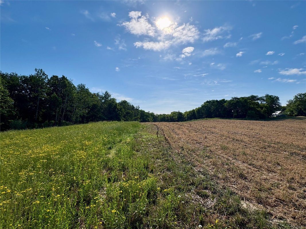 15.01 Acres 160th Avenue, Maiden Rock WI 54750 - Land house for sale - MLS #1604580 - image44