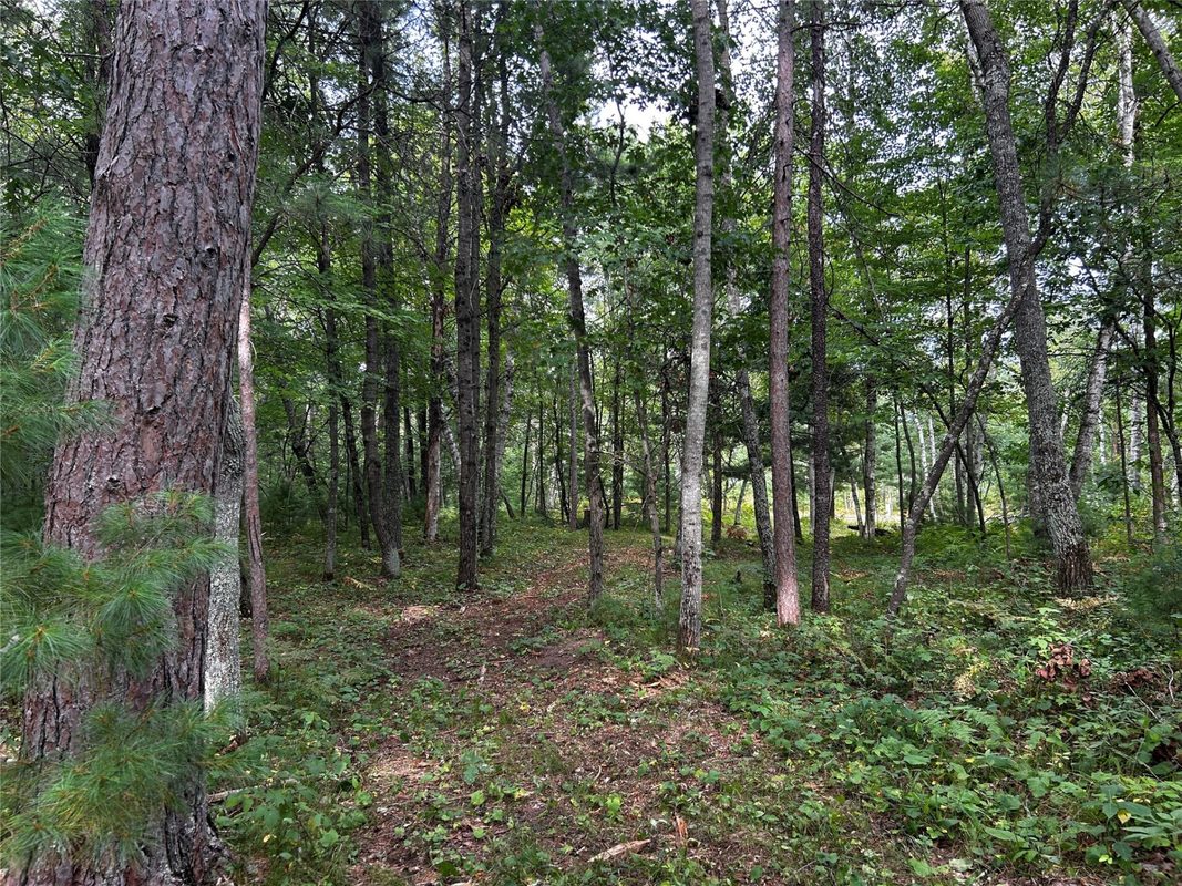 Lots 5 & 6 State Highway 70, Spooner WI 54801 - Land house for sale - MLS #1604806 - image52