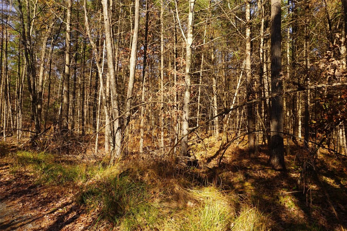 Lot 6 County Road J, Neillsville WI 54456 - Land house for sale - MLS #1606165 - image5