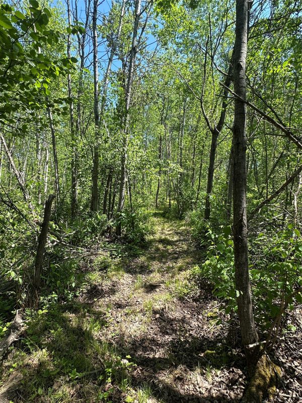 N7642 Crooked Road, Ladysmith WI 54848 - Residential house for sale - MLS #1601657 - image28