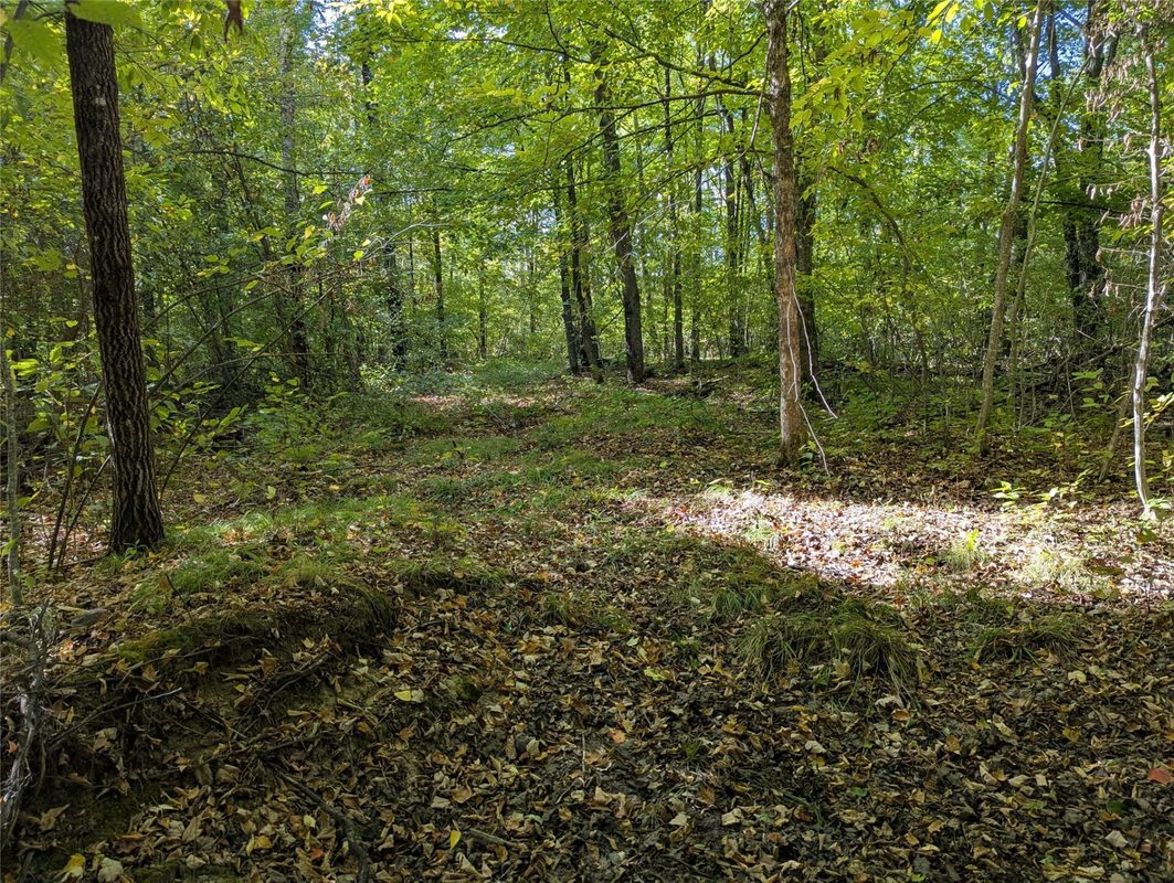 Lot 17 Rabbit Run, Ojibwa WI 54862 - Land house for sale - MLS #1605249 - image5