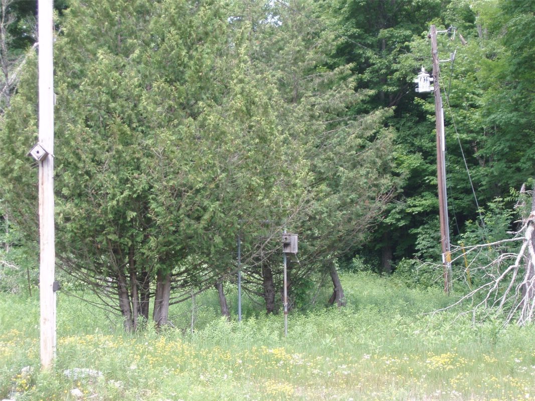 2460N County Highway FF, Butternut WI 54514 - Residential house for sale - MLS #1602950 - image27