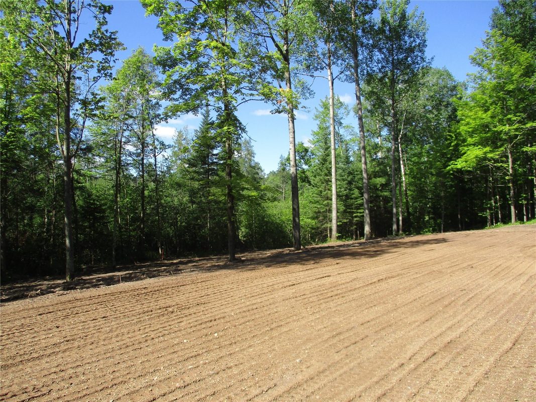 2863 Independence Way & 29 9/16 Avenue, Birchwood WI 54817 - Land house for sale - MLS #1601854 - image5