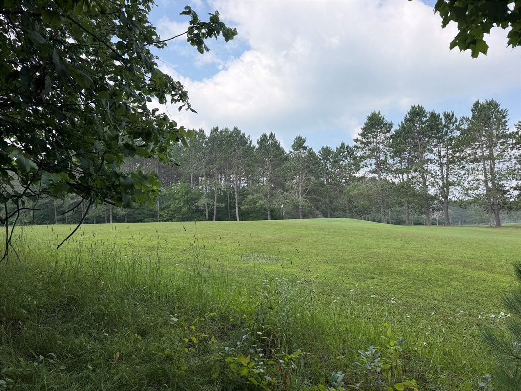 Lot 9 Hermosa Lane, Hayward WI 54843 - Land house for sale - MLS #1600925 - image9