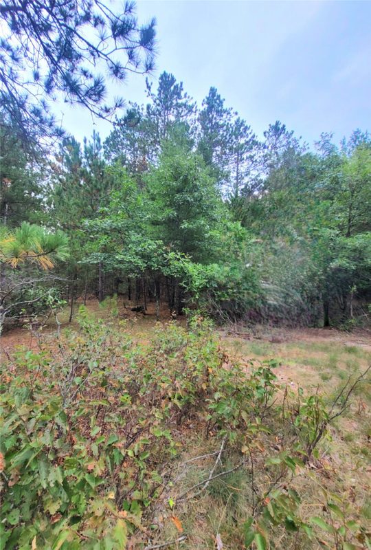 0 Blueberry Rd, Gordon WI 54838 - Land house for sale - MLS #1604990 - image13