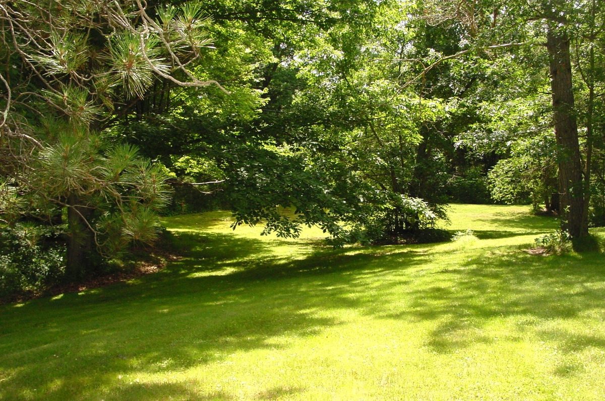 W10529 US Highway 8, Ladysmith WI 54848 - Residential house for sale - MLS #1603124 - image8
