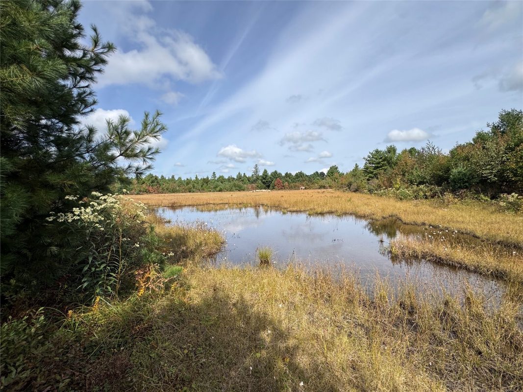 W4199 Ballard Road, Neillsville WI 54456 - Land house for sale - MLS #1605652 - image20
