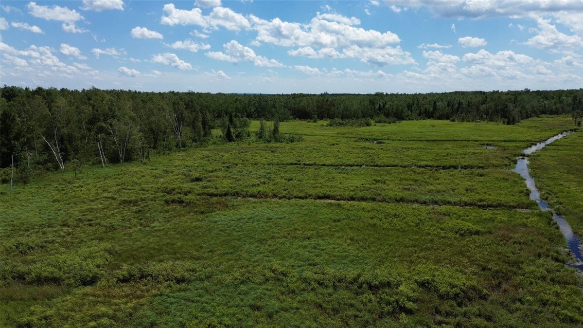 11199 Edgewood Avenue, Bruce WI 54848 - Land house for sale - MLS #1605749 - image3