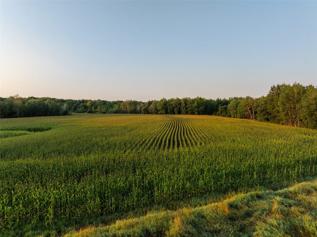 W13369 Town Line Road, Gilman WI 54433 - Residential house for sale - MLS #1604091 - image14