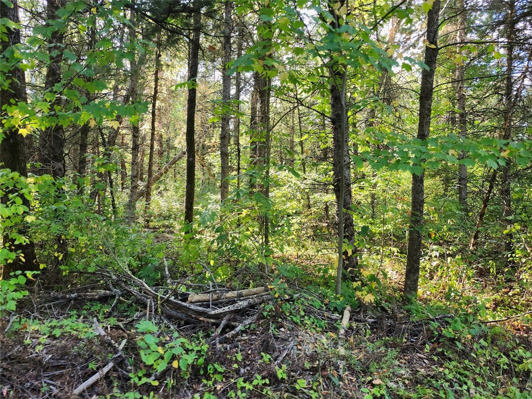7821W Koeppler Road, Ojibwa WI 54862 - Land house for sale - MLS #1604981 - image3