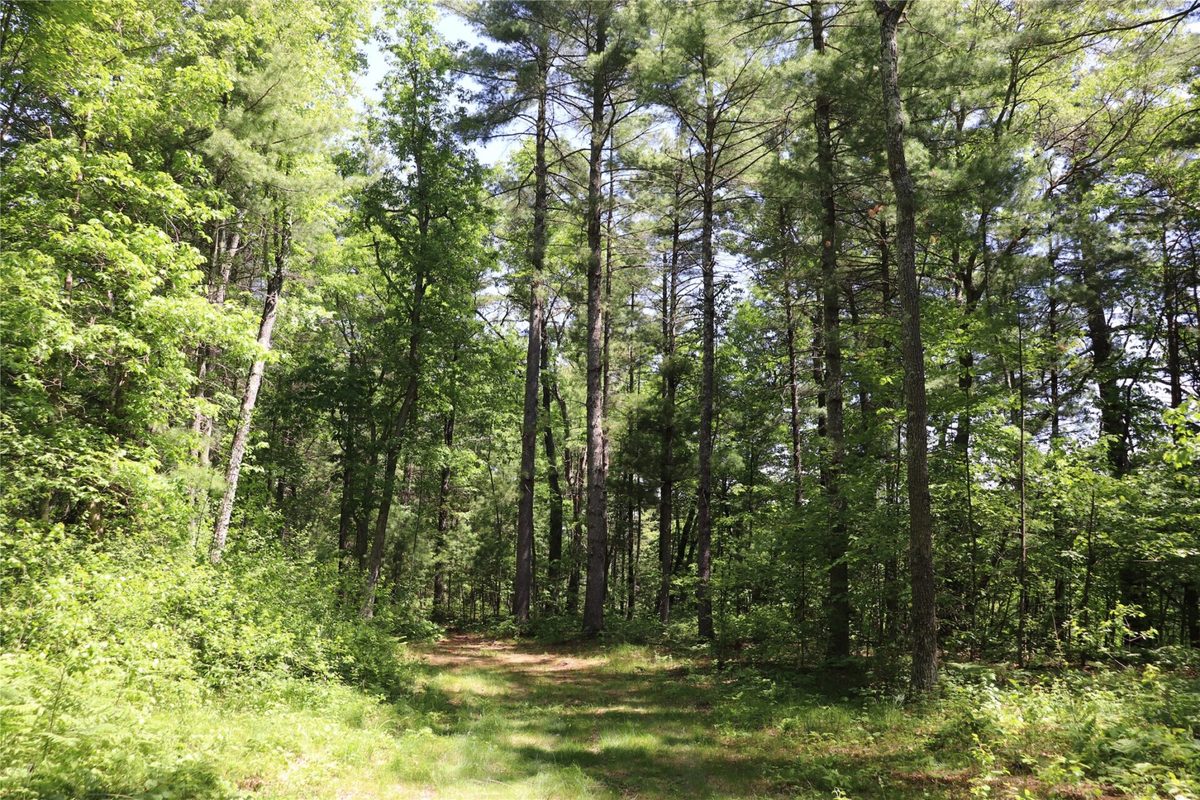 N7280 Waters Edge Road, Black River Falls WI 54615 - Residential house for sale - MLS #1601969 - image24
