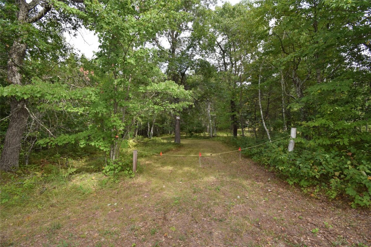 28206 Pardun Road, Danbury WI 54830 - Land house for sale - MLS #1604938 - image7
