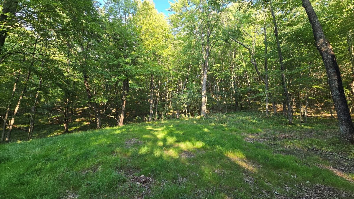 W02 State Highway 64, Colfax WI 54730 - Land house for sale - MLS #1604529 - image28