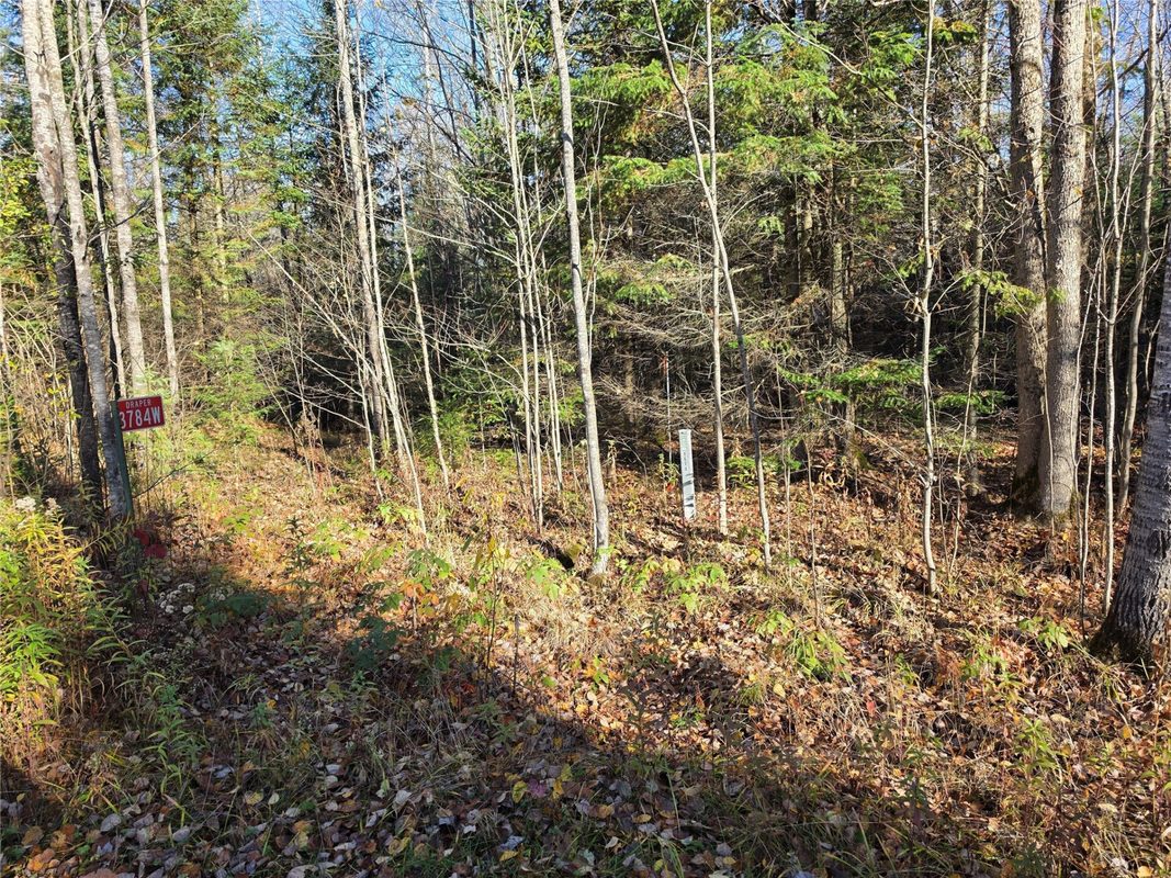 3778W Indian Way, Winter WI 54896 - Residential house for sale - MLS #1606168 - image36