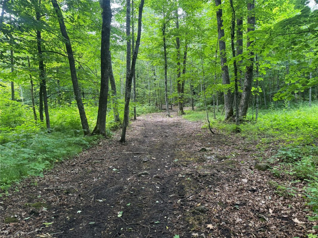 XXX Eckel Lane, Couderay WI 54835 - Land house for sale - MLS #1603143 - image39