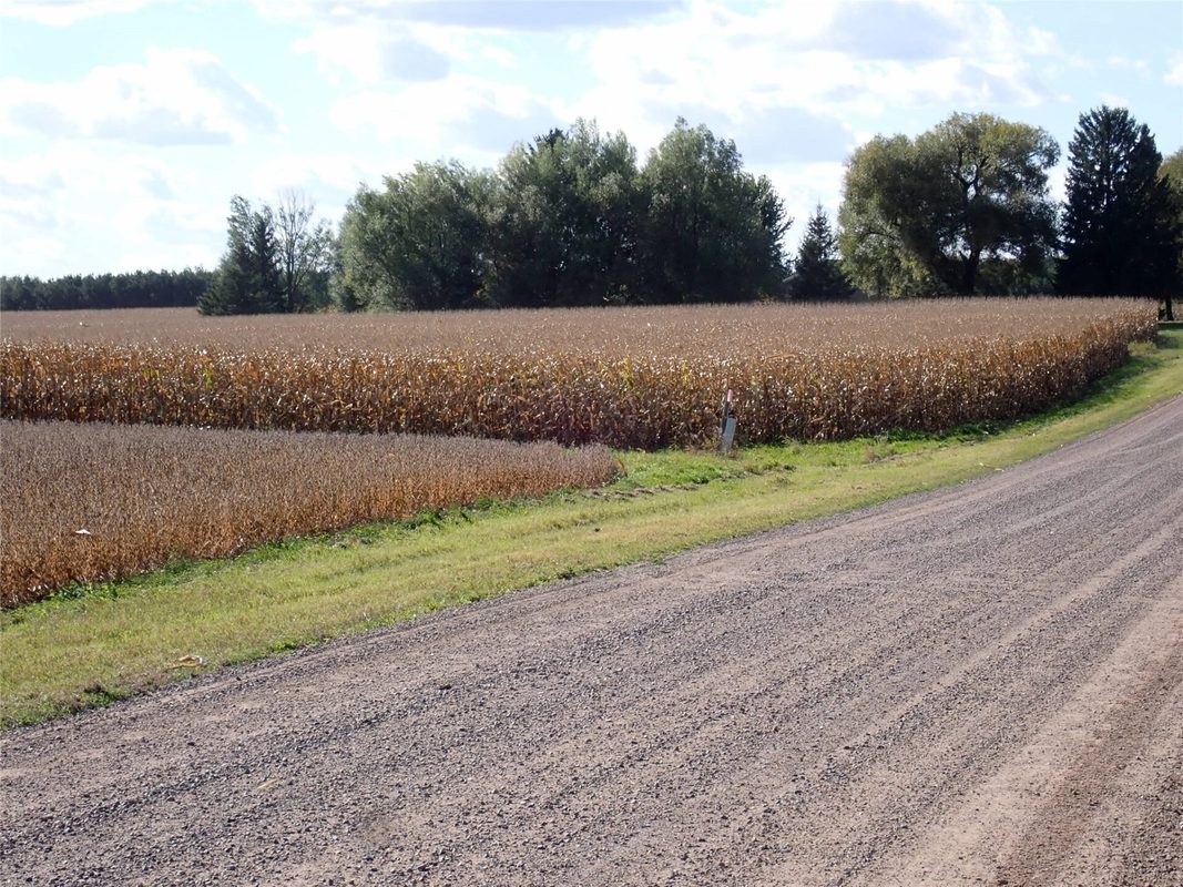 70.54 acres 26 1/2 St, Cumberland WI 54829 - Land house for sale - MLS #1605975 - image4