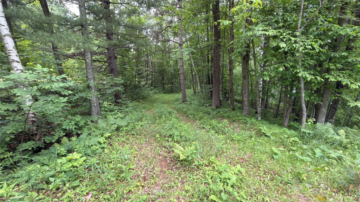 765 270th Ave Cty Rd O, Frederic WI 54837 - Land house for sale - MLS #1602300 - image6
