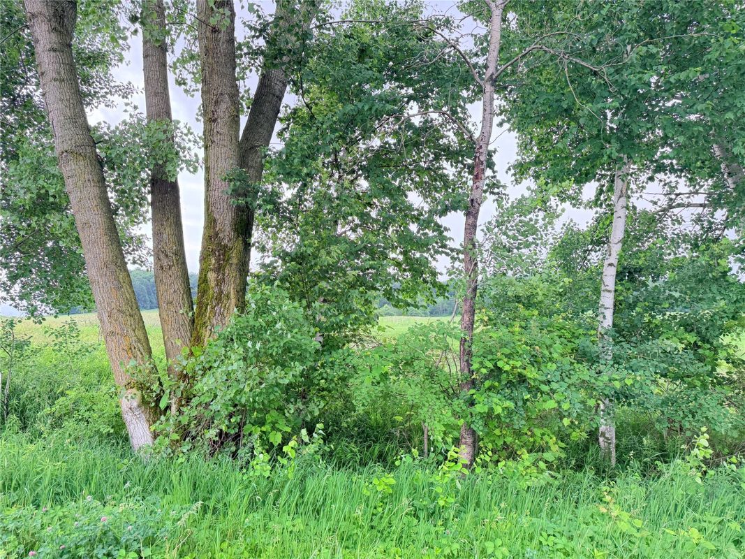 0 Grandview Drive, Fall Creek WI 54727 - Land house for sale - MLS #1603307 - image9