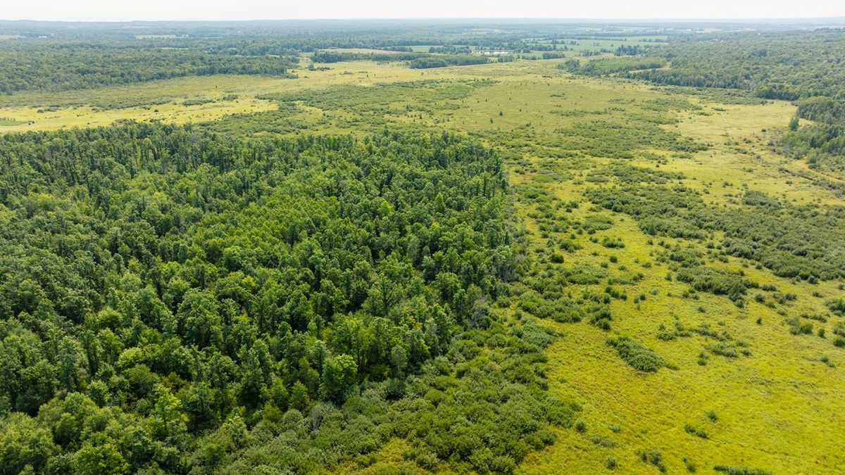 0 28th Street, Chetek WI 54728 - Land house for sale - MLS #1604329 - image27