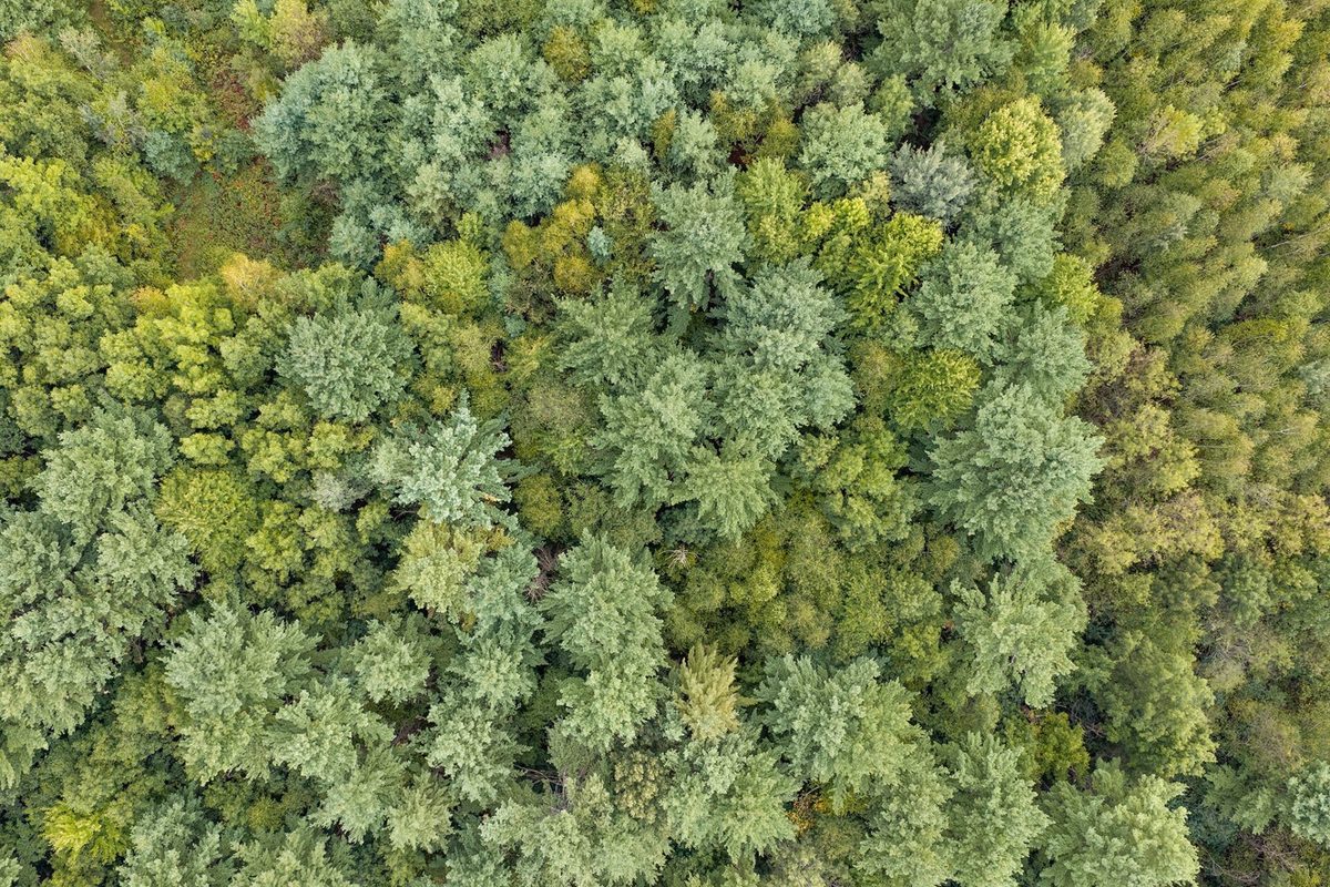 Lot 2 County Hwy X, Cadott WI 54727 - Land house for sale - MLS #1605345 - image18