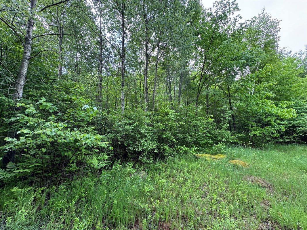 000 Boundary Road, Ringle WI 54471 - Land house for sale - MLS #1602183 - image9