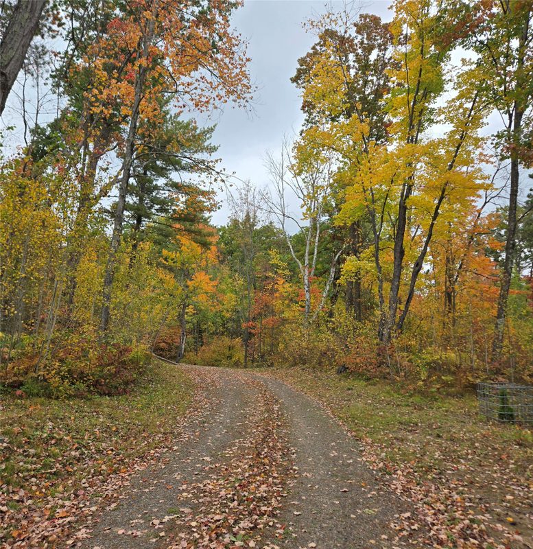 16119 Henks Road, Hayward WI 54843 - Land house for sale - MLS #1605555 - image8