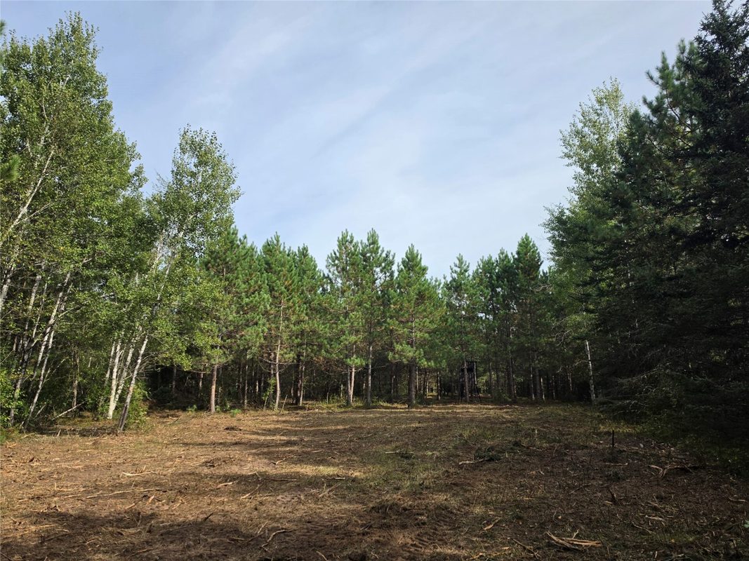 20 Acres Adams Road, Bruce WI 54819 - Land house for sale - MLS #1602683 - image22
