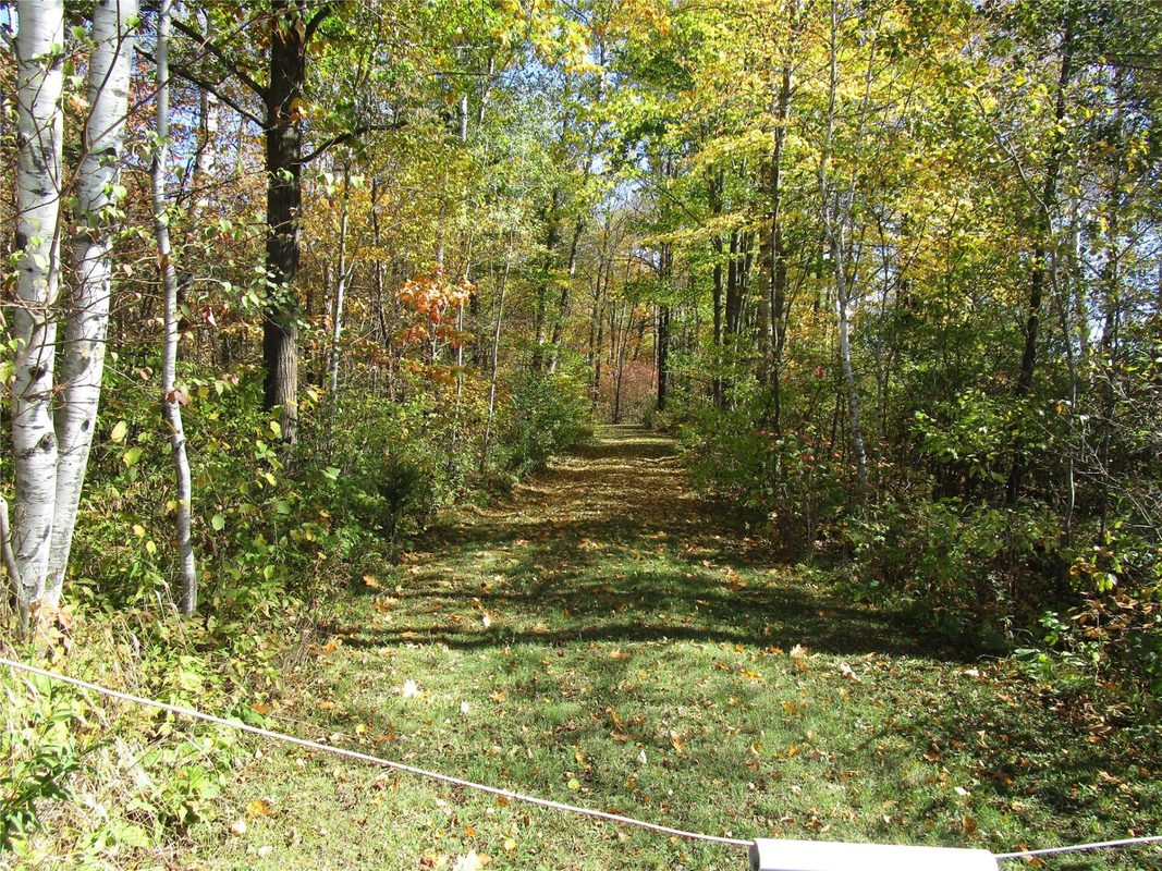 N7110 Hackett Road, Hawkins WI 54530 - Land house for sale - MLS #1600843 - image10