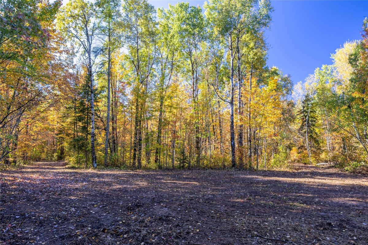 5 Acres Aggie Lane, Ladysmith WI 54848 - Land house for sale - MLS #1605699 - image6