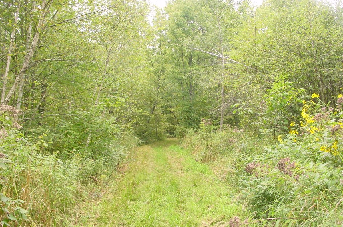 N5391 Hwy. 73, Ingram WI 54526 - Residential house for sale - MLS #1604886 - image22