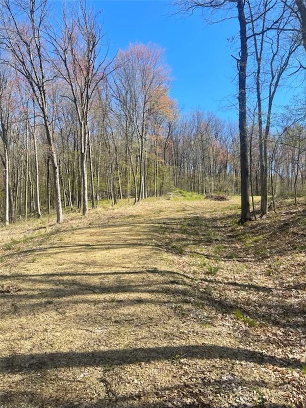 Lots 4, 5 & 6 Anderson Hill Lane, Boyceville, WI — photo 32