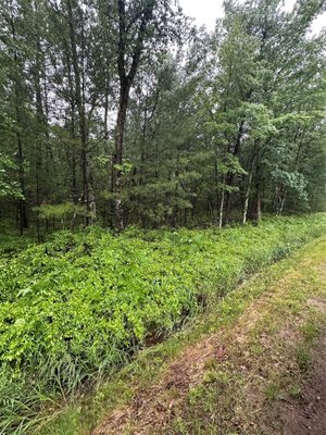 Lot 3 Highway K, Hatfield WI 54754 - Land house for sale - MLS #1598541 - image1