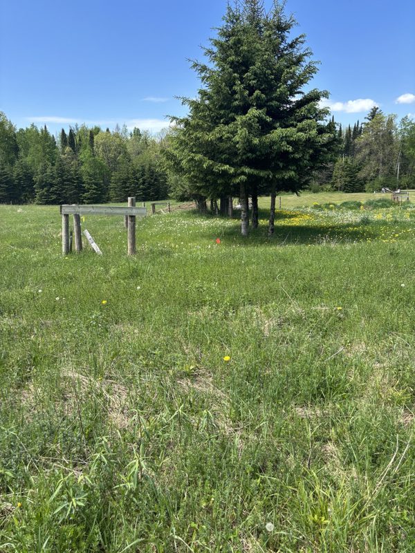 N3860 Kostka Road, Ladysmith WI 54848 - Land house for sale - MLS #1601876 - image2
