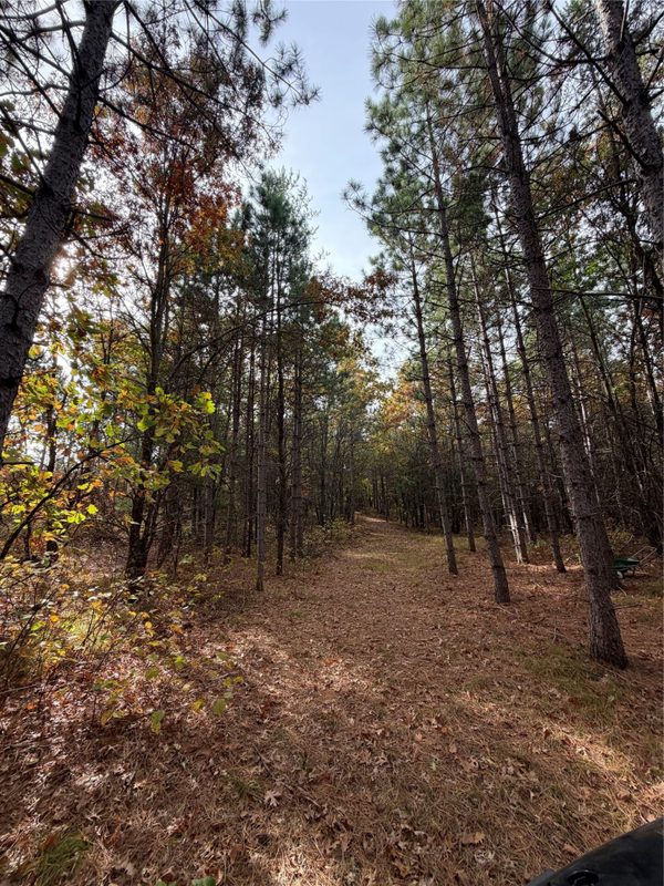 14375 Grell Road, Grantsburg WI 54840 - Land house for sale - MLS #1605788 - image3