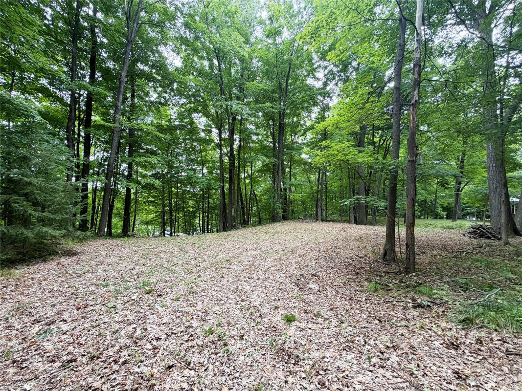1101 5th Street, Ladysmith WI 54848 - Land house for sale - MLS #1598875 - image4