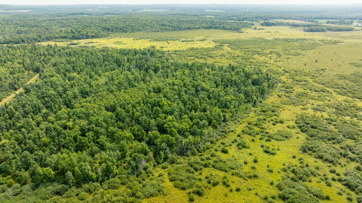 0 28th Street, Chetek WI 54728 - Land house for sale - MLS #1604329 - image29