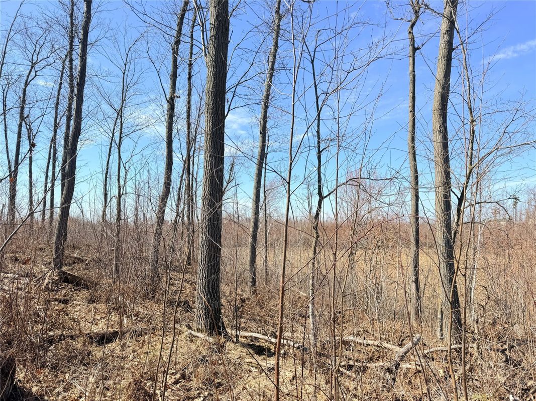 Lot 4 160th Avenue, Turtle Lake, WI — photo 21